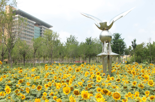 青岛烹饪职业学校