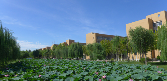 烟台经济学校