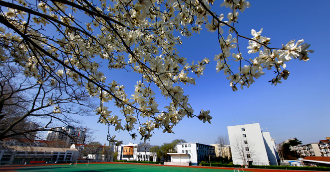 烟台市特殊教育学校