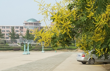 北海市电子职业技术学校