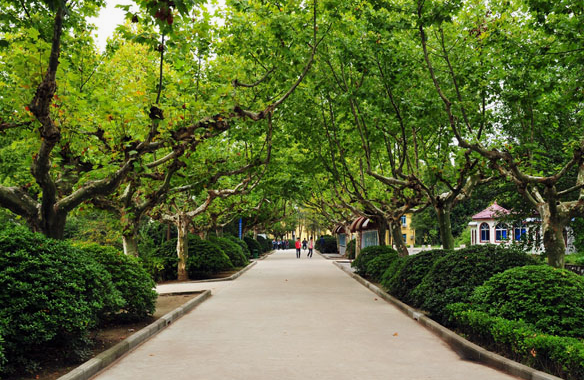 广西华南烹饪技工学校