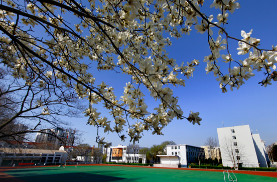 河池市巴马民族师范学校